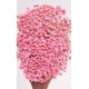 STAR FLOWERS Pink 12"- 